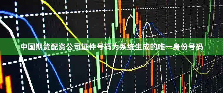 中国期货配资公司证件号码为系统生成的唯一身份号码